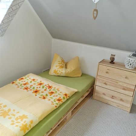 Haus Steindoebra Villa Klingenthal Eksteriør billede
