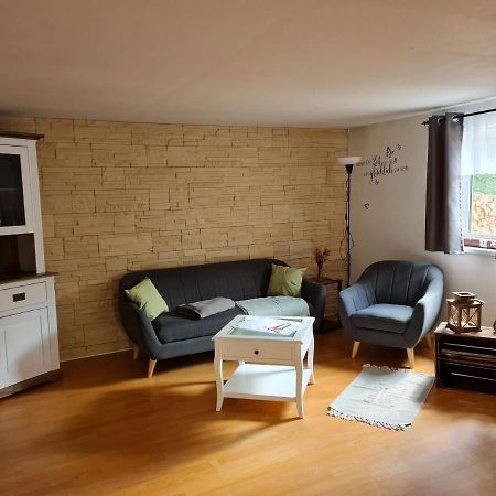 Haus Steindoebra Villa Klingenthal Eksteriør billede