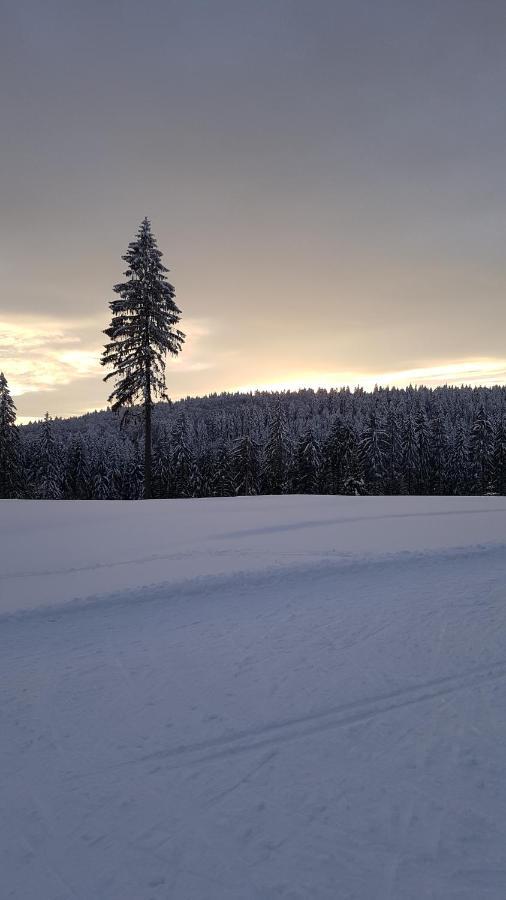 Haus Steindoebra Villa Klingenthal Eksteriør billede
