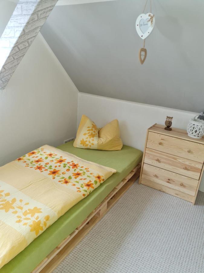 Haus Steindoebra Villa Klingenthal Eksteriør billede