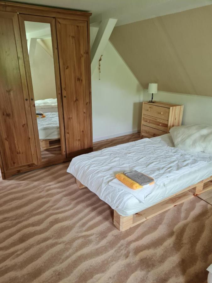 Haus Steindoebra Villa Klingenthal Eksteriør billede